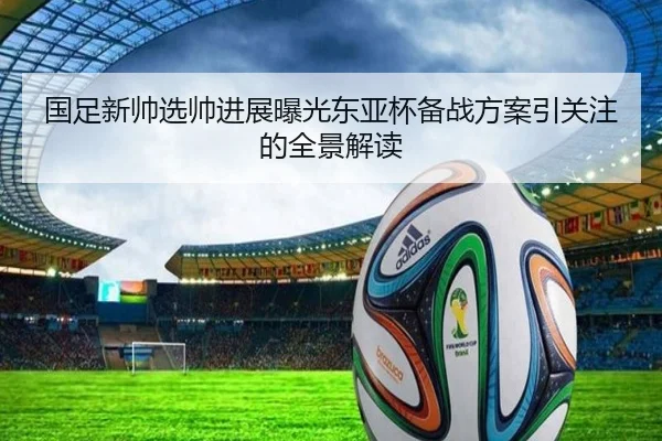国足新帅选帅进展曝光东亚杯备战方案引关注的全景解读 | LIBOSPORTS